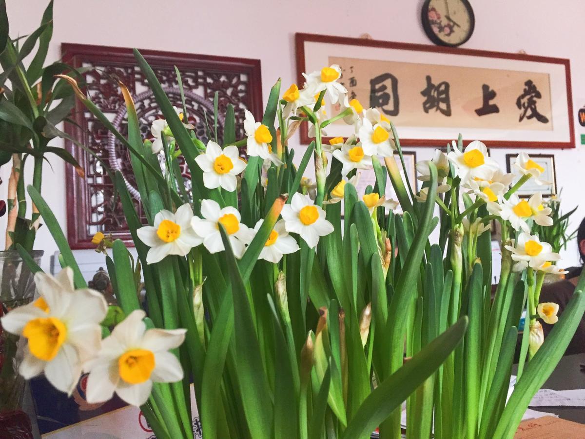 Hutong Impressions Beijing Guesthouse ภายนอก รูปภาพ