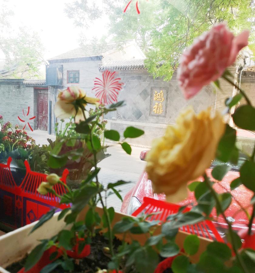 Hutong Impressions Beijing Guesthouse ภายนอก รูปภาพ